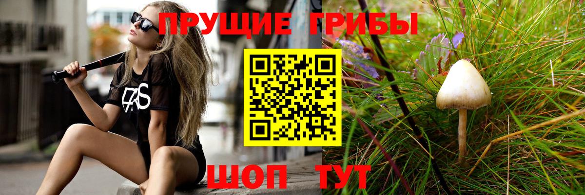 Галлюциногенные грибы ЛСД Белая Калитва